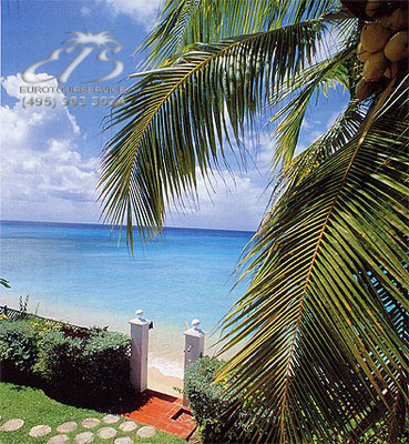 The Dream, О-ва Карибского бассейна, о.Барбадос. Нажмите для увеличения изображения.