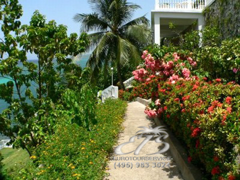 Windjammer, О-ва Карибского бассейна, Ямайка. Нажмите для увеличения изображения.