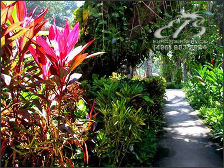 Villa Casa Pacifico, Центральная Америка, Коста-Рика. Нажмите для увеличения изображения.