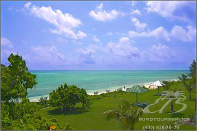 Acacia, О-ва Карибского бассейна, Багамские о-ва. Нажмите для увеличения изображения.