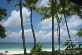 Kedr, Сейшельские острова, Сейшельские острова. Нажмите для увеличения изображения.