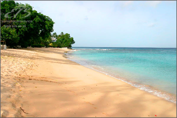 Bonavista, О-ва Карибского бассейна, о.Барбадос. Нажмите для увеличения изображения.