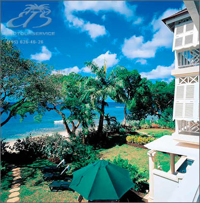 Mahogany Pod, О-ва Карибского бассейна, о.Барбадос. Нажмите для увеличения изображения.