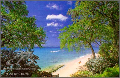 Merlin Bay - Nutmeg, О-ва Карибского бассейна, о.Барбадос. Нажмите для увеличения изображения.